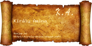 Király Amina névjegykártya
